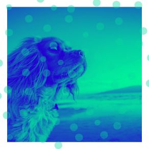 Download track Superlative Moods For Well Behaved Dogs Dog Music Waves