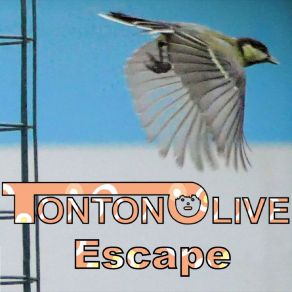 Download track My Life Is My Own Tonton Olive