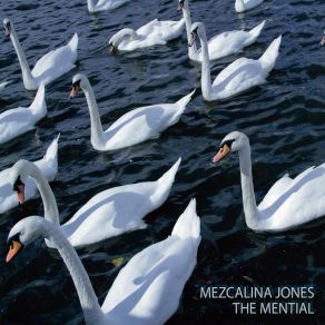 Download track Bury Your Ashes In Blue Mezcalina Jones