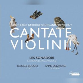 Download track Vestiva I Colli' Pascale Boquet, Anne Delafosse, Les Sonadori