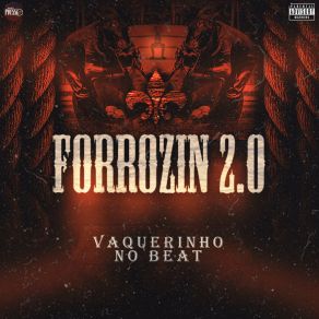 Download track Forrozinho A Desconhecida Vaquerinho No Beat