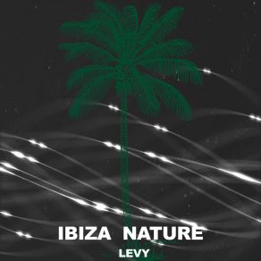 Download track Rotation (Sergii Petrenko Dub Remix) Ibiza Son