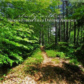 Download track Hidden Forest Field Daytime Ambience, Pt. 2 Sebastian Riegl