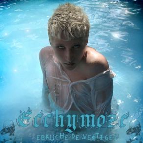 Download track Electron Libre (Comme L'Air) Ecchymoze