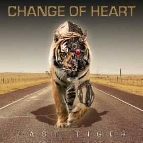 Download track Last Tiger Change Of Heart