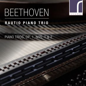 Download track Piano Trio In G Major, Op. 1, No. 2: I. Adagio - Allegro Vivace Rautio Trio