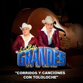 Download track Cuatro Cartas (Tololoche) Los Dos Grandes De La Sierra