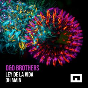 Download track Oh Main D Brothers