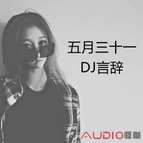 Download track 我不该 DJ言辞