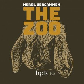 Download track Mountain Gorilla Merel Vercammen