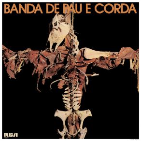 Download track Pássaro Na Multidão Banda De Pau E Corda