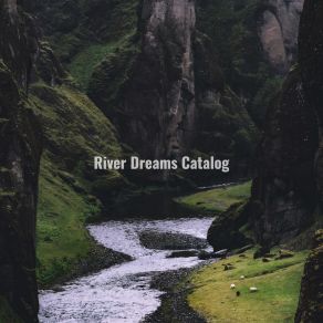 Download track Rain Forest River River Dreams Catalog