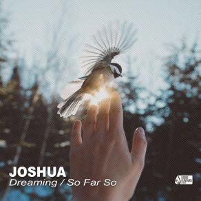 Download track So Far (Original Mix) Joshua