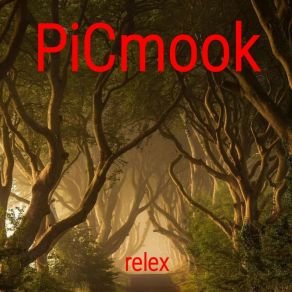 Download track Luxuanerteck Picmook