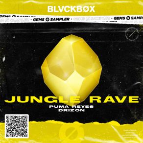 Download track Jungle Rave (Extended Mix) Drizon