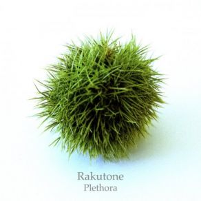 Download track Activating Space (Original Mix) Rakutone