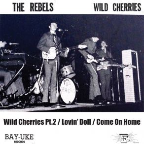 Download track Wild Cherries, Pt. 2 Joe Perigo