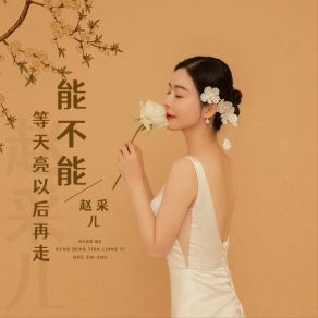 Download track 能不能等天亮以后再走 赵采儿