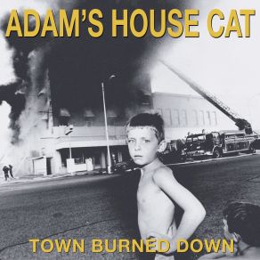 Download track Lookout Mountain Adam's House Cat