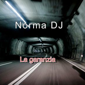 Download track Ho Errato Norma DJ