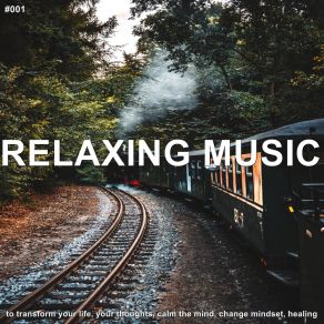 Download track Relaxing On The Beach Relaxing Music Therapy