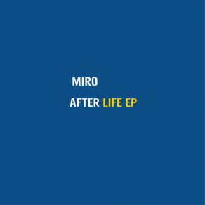 Download track Hide And Seek Miro