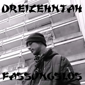 Download track Fassungslos (Instrumental) DreizehntahΟΡΓΑΝΙΚΟ