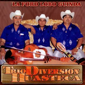 Download track El Ranchero Potosino Trio Diversion Huasteca