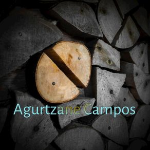 Download track The Chimp Agurtzane Campos