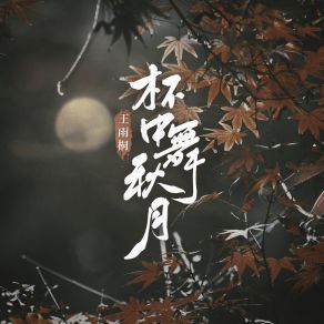 Download track 杯中舞秋月 (伴奏版) 王雨桐