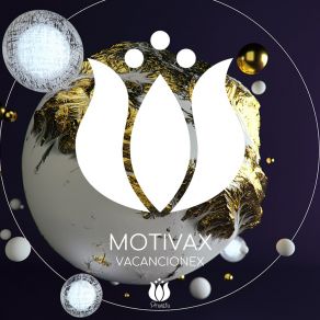 Download track Platinize Motivax