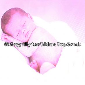 Download track Fantasy Of Sleep Lullaby Land