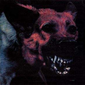 Download track Tarpeian Rock Protomartyr