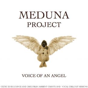 Download track Voice Of An Angel (Lord Of The Folk Ambient Light Dance Mix) Meduna Project