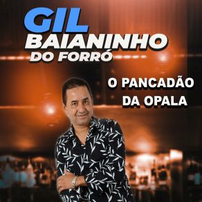 Download track Ser Vaqueiro É Luxo Gil Baianinho Do Forró