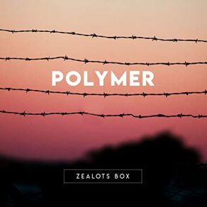 Download track Believers Polymer