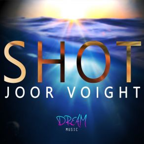 Download track Shot Joor Voight