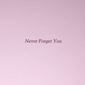 Download track Never Forget You DjSunnymega