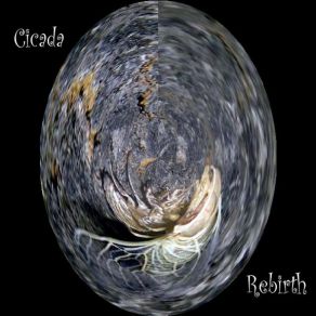 Download track Childhood'S Memories Cicada