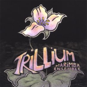 Download track In The Twilight Of My Mind Trillium Marimba Ensemble