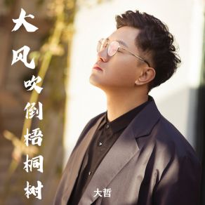 Download track 大风吹倒梧桐树 (伴奏) 大哲