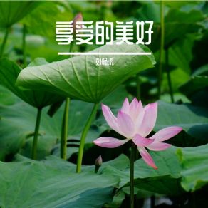 Download track 拥抱以后说再见 刘畅梁