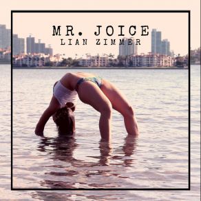 Download track Mr Joice (Radio Edit) Lian Zimmer