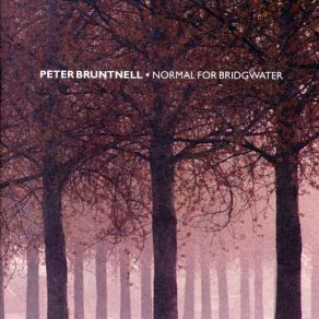 Download track How You Are Peter Bruntnell