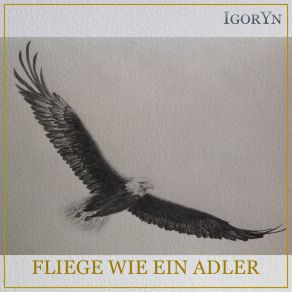 Download track Fliege Wie Ein Adler (Minus) IgorYnMinus