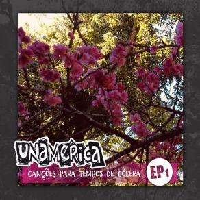 Download track Canção Campesina Grupo Unamérica