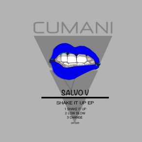 Download track Shake It Up (Original Mix) Salvo V