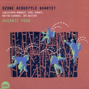 Download track Du Vent Dans Les Voiles Part 2 Ozone Acoustyle Quartet