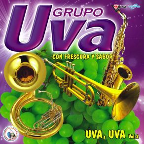 Download track Llegar Con Ella (El Autobus) Grupo Uva