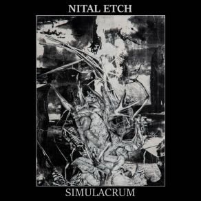 Download track Meaningless Nital Etch